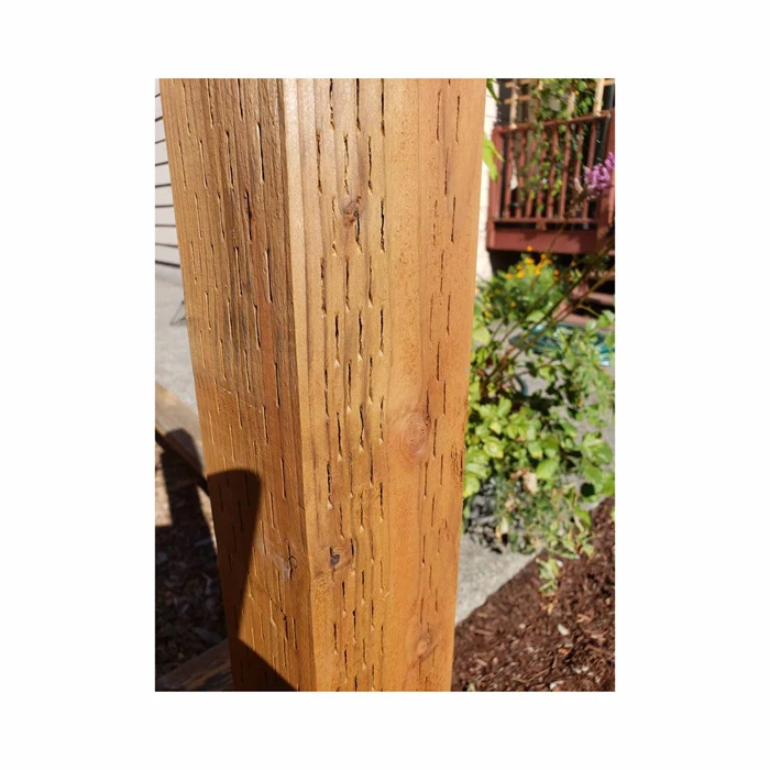 Best Quality Pressuretreated Lumber Softwood All Size High Quality
