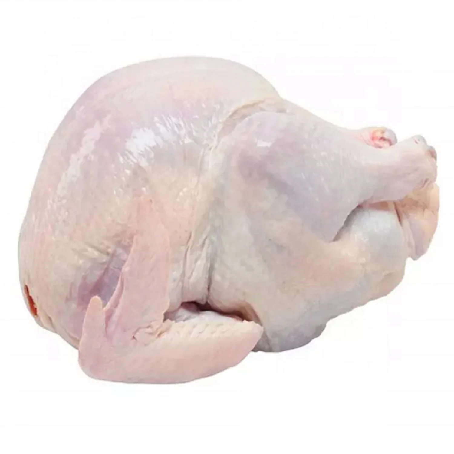 100 Frozen Whole Chicken / Frozen Chicken Buy Frozen Chicken,Frozen