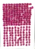 Reddish Pink