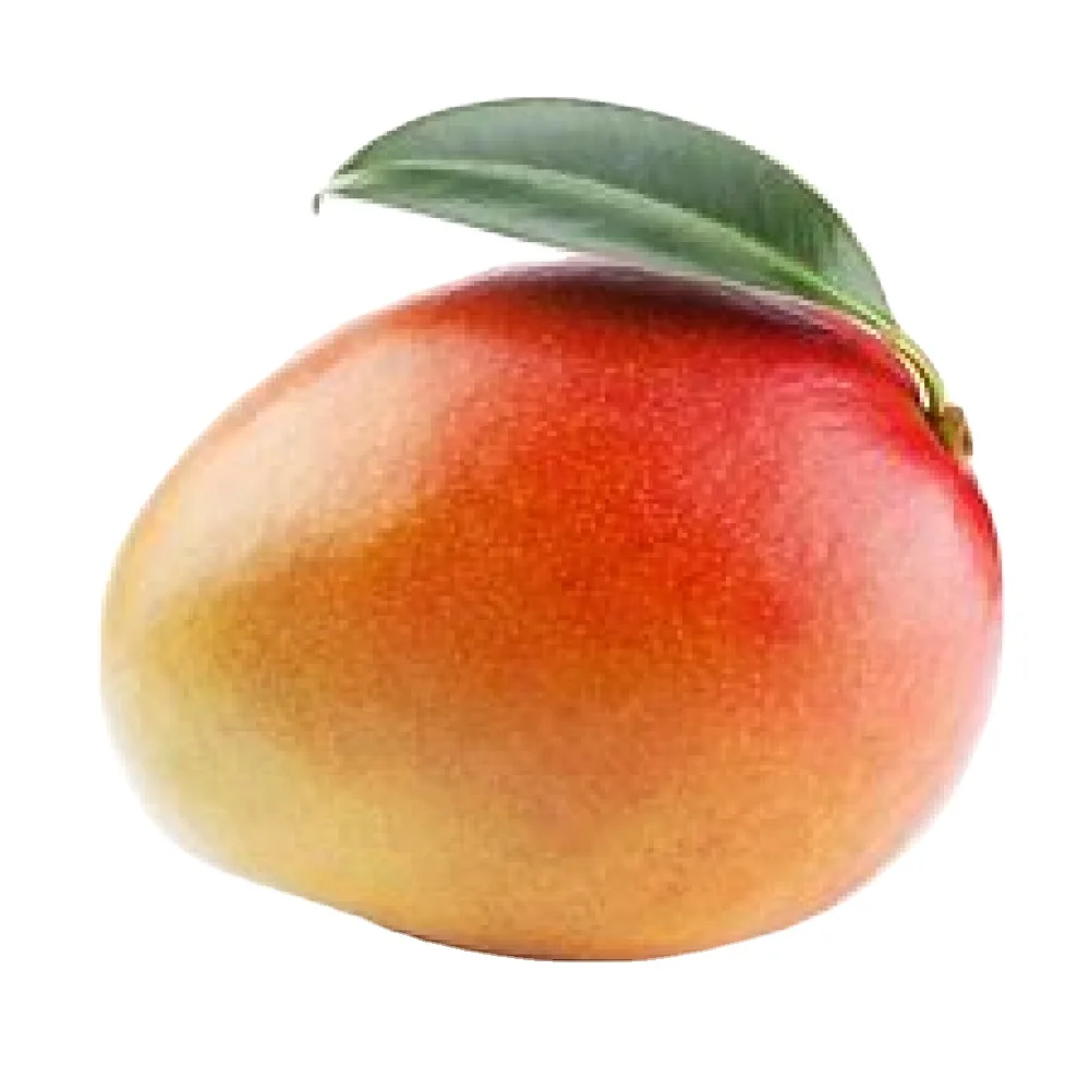 Purchase Greatest Quality Pure & Natural Mango From Indian Seller And