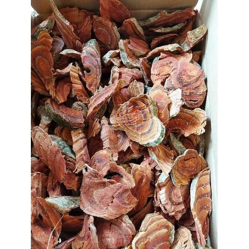 TOP-GRADE CAULIS SPATHOLOBI / TIME-HONORED REMEDY / VALUE for MONEY / MADE in VIETNAM
