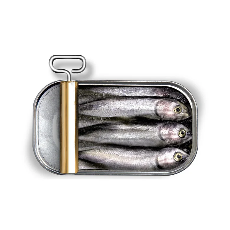 Wholesale Price Canned sardine fish in vegetable oil Bulk Stock Available For Sale