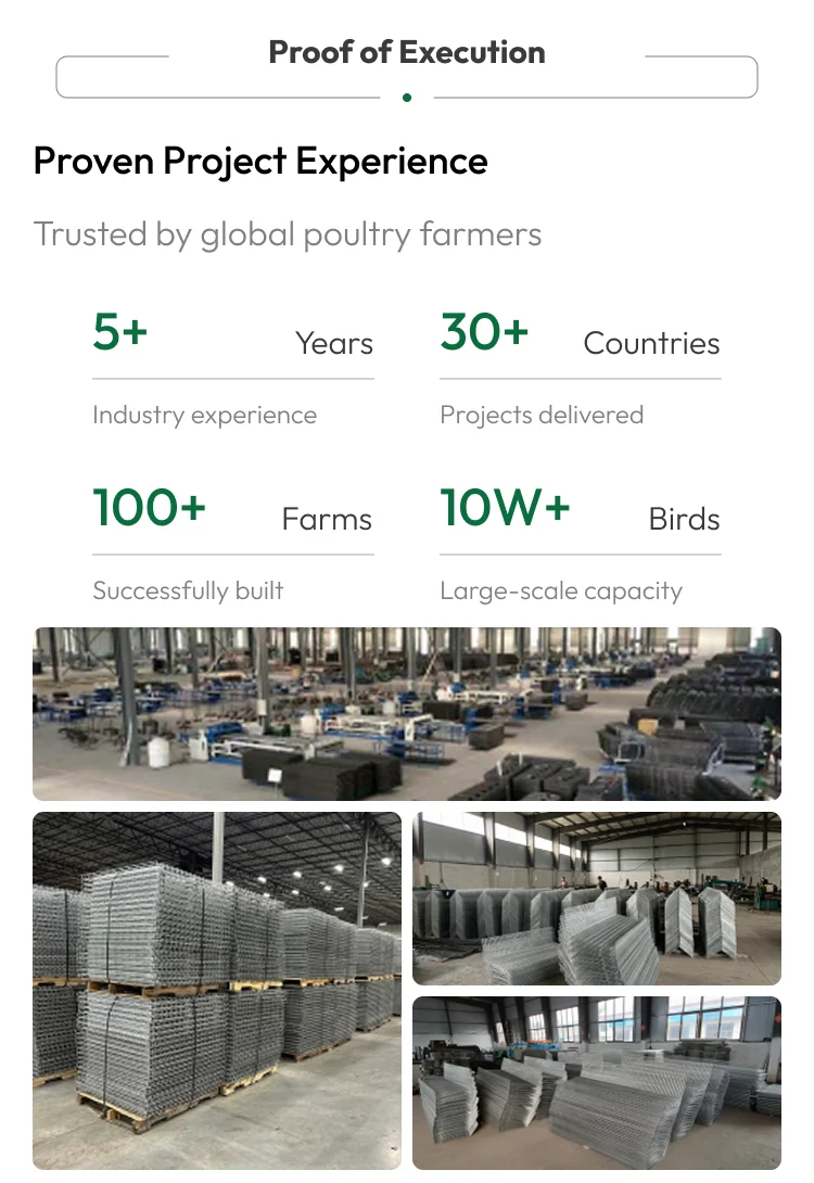 H-Frame Automatic Broiler Cage