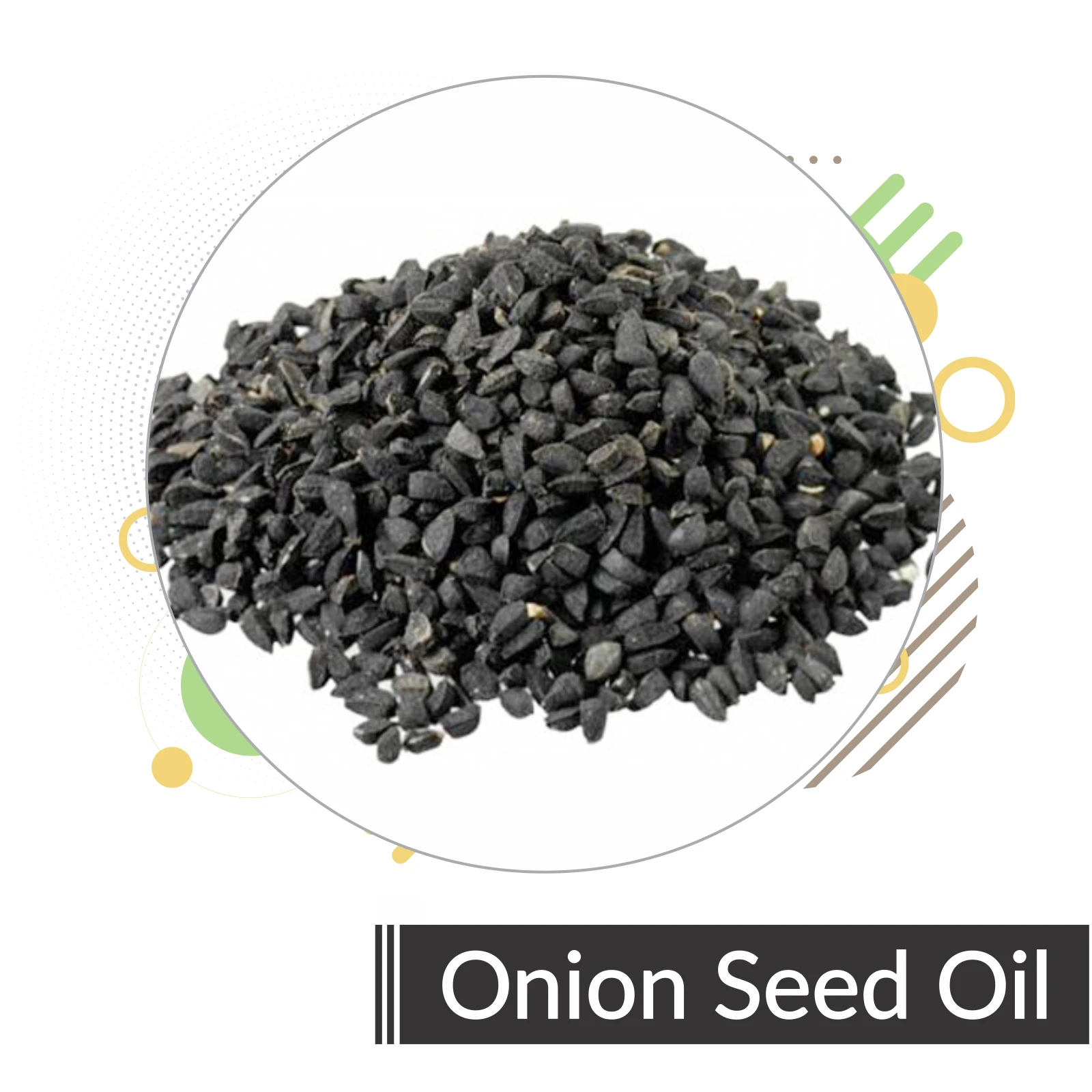 Salvia Onion Seed Oil 100% Pure And Natural Lowest Price Customized ...