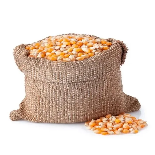 Yellow Corn/Maize for Animal Feed / YELLOW CORN for POULTRY FEED Cheap Price