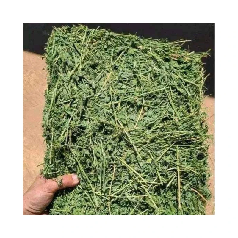 Good And Cheap Alfalfa Hay Bays / Alfafa Pellets / Dehydrated Alfalfa