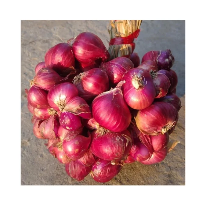 2024 New Harvest - Fresh Onion WHOLESALE Air Dried Dehydrated Red Flakes Purple Slices From Viet Nam