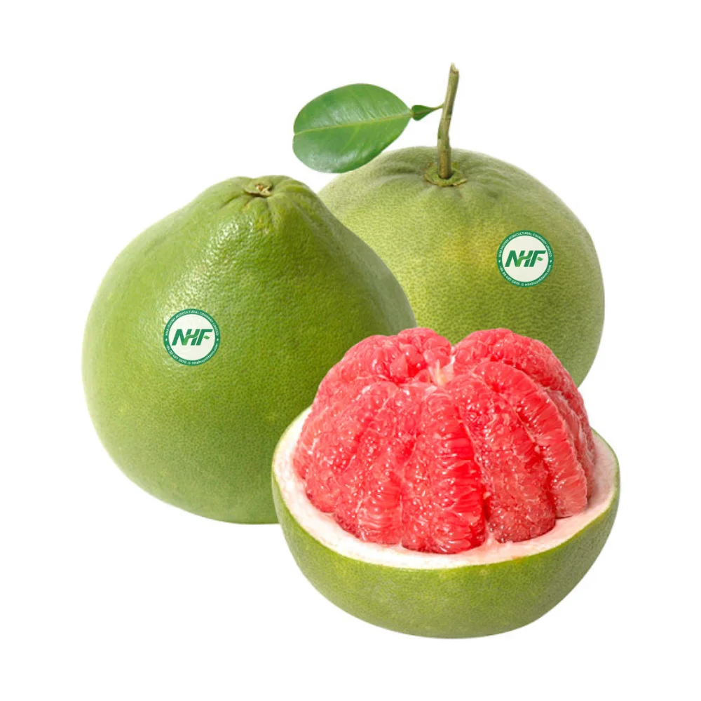 Fresh Pomelo Green Skin Pomelo The Crop 2023 Premium Grapefruits From