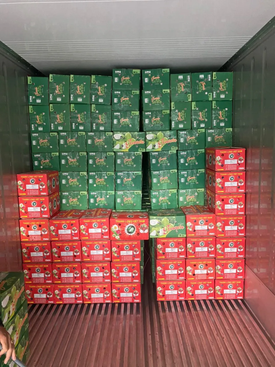 Sweet Taste Fresh Dragon Fruit From Vietnam With Standard Quality And