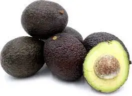 FRESH AVOCADO HASS and FUERTE,Fresh Furte & Hass Avocados FRESH AVOCADO