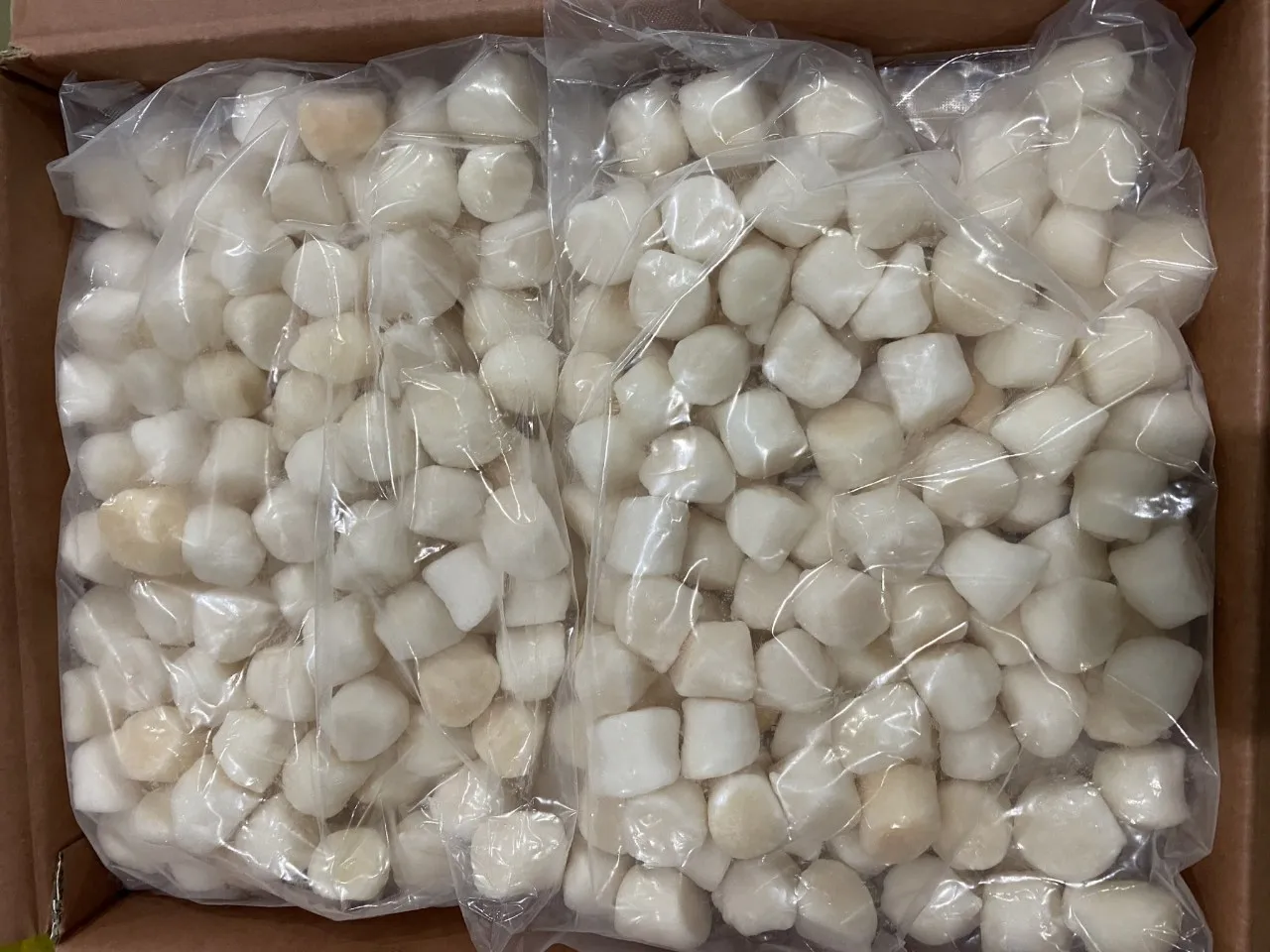 Wholesale Sell Bulk Scallop Dried Scallops Naturally Dried Sea Food