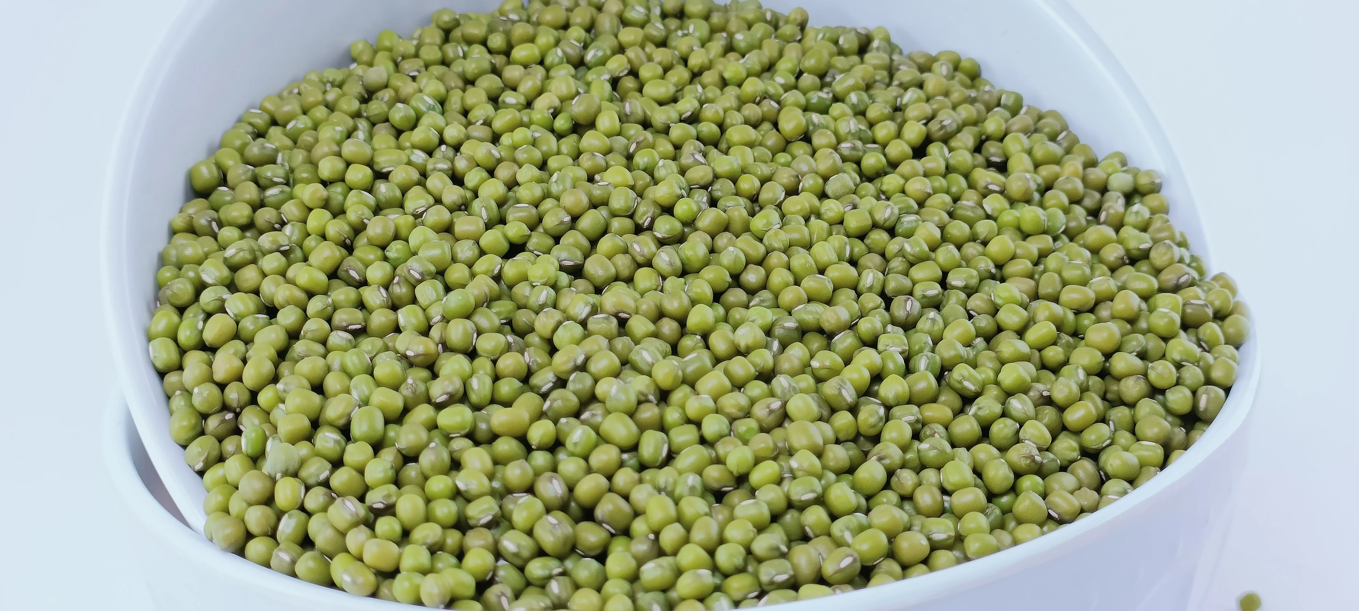 Ethiopian Green Mung Beans 2024 Crop,Bright Green Handpicked And ...