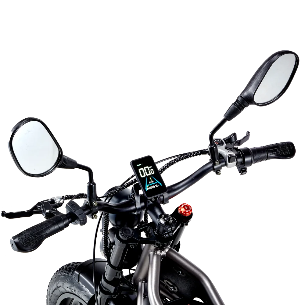 RANDRIDE DM711 Electric Motorcycle Dual Motor Drive 1000W*2 Peak Power for City Commuting