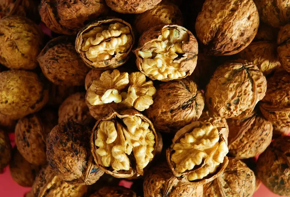 Daily Nuts Mixed Pure Nuts Dried Fruit Products Walnuts Pumpkin Seeds