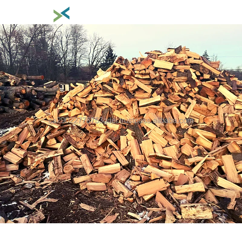 Hard Wood Firewood Birch Wood Oak And Beech Log Firewood / Mangrove