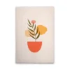 Cream, Coloured, Green, Orange, Yellow