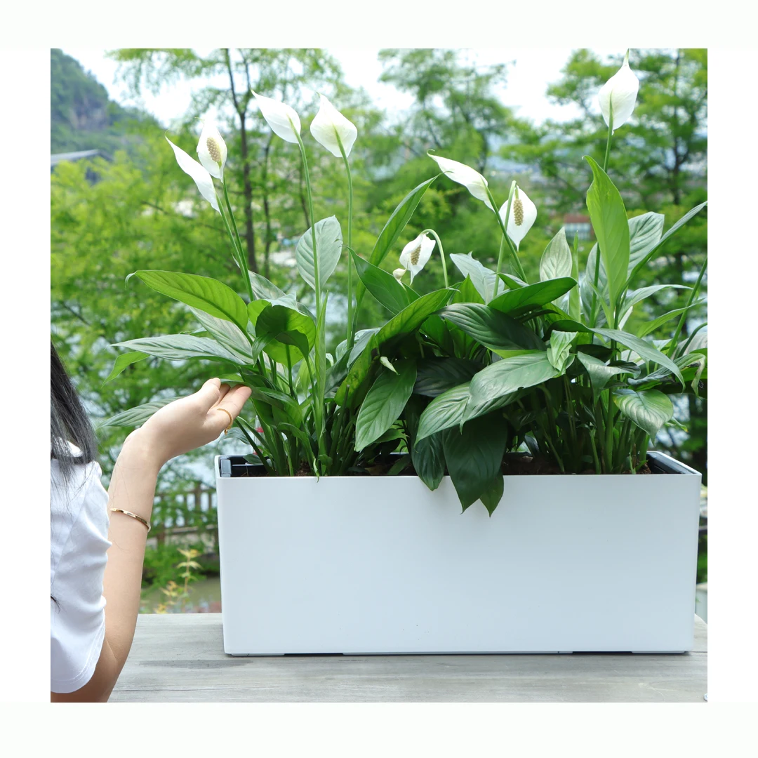 High Quality Plastic Planter Box With Removable Liner Hooks Multiple Colors  Rustic Rectangle Indoor Balcony Railing Flower Pot