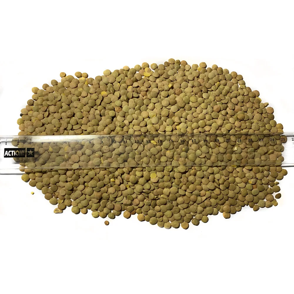 High Quality Green Lentils Ecological Product Of Russia Wholesale