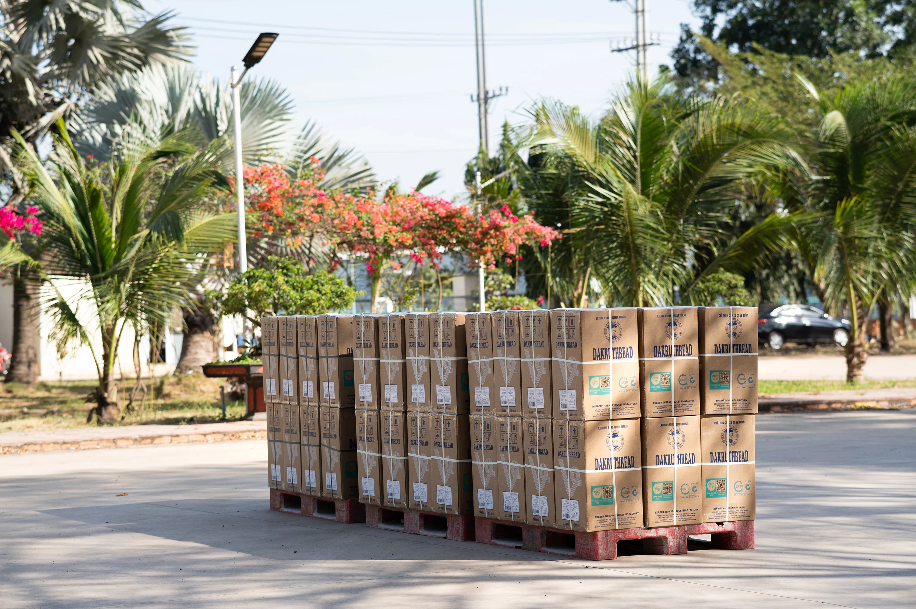 Vietnam Manufacturer Size 24 Ecofriendly Rubber Thread/latex Thread