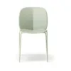 Sage Green Frame - Sage Green Shell