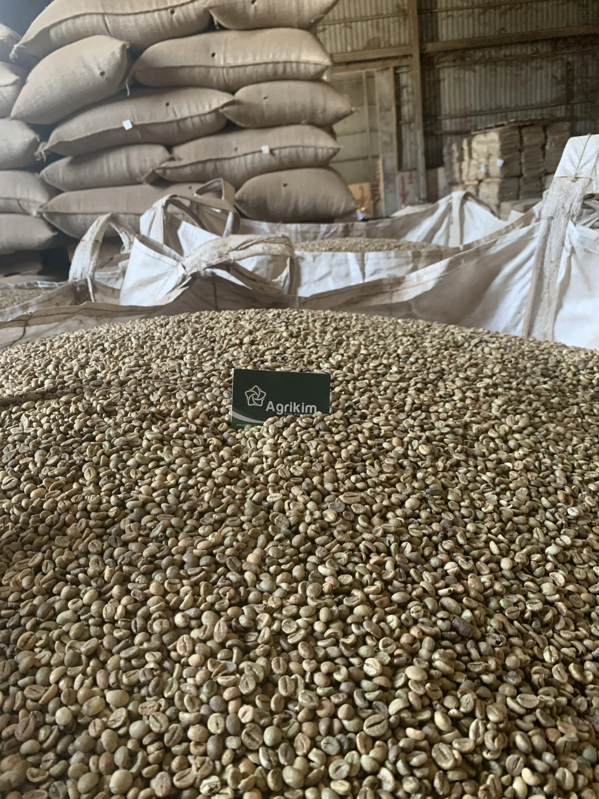 Exported Raw Coffee Beans Coffee Beans Arabica Robusta Roasted Coffee