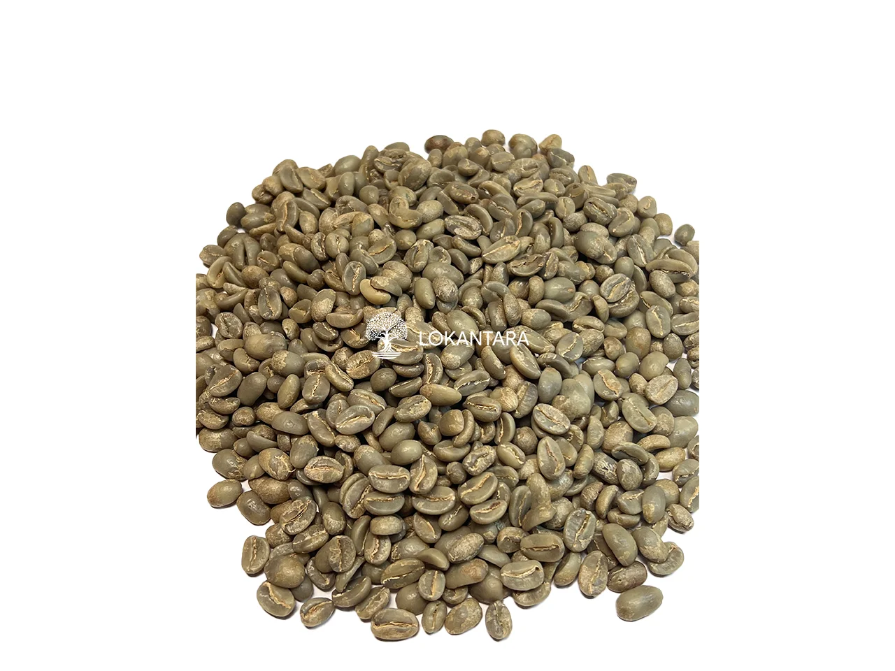 Indonesia Green Arabica Coffee Beans High Grade New Crop Good Taste