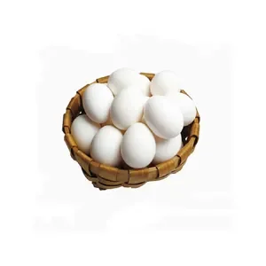 Buy Fresh Table Eggs Brown and White Wholesale Price