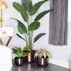 Antique Black