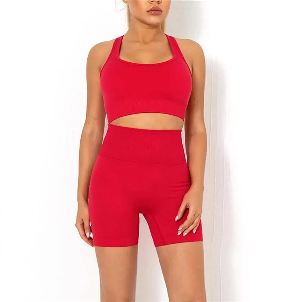 Two Piece Gym Yoga Bra And Matching Shorts Sets Wholesale Fitness