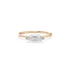 Rose d'or