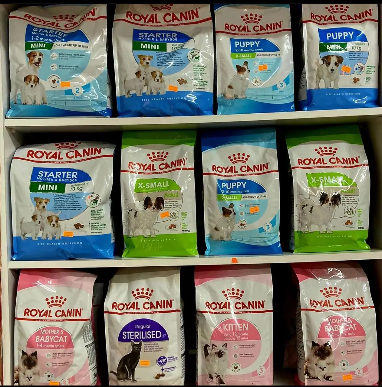 Royal Canin Medium Adult Dry Dog Food Buy Wholesale Royal Canin Buy