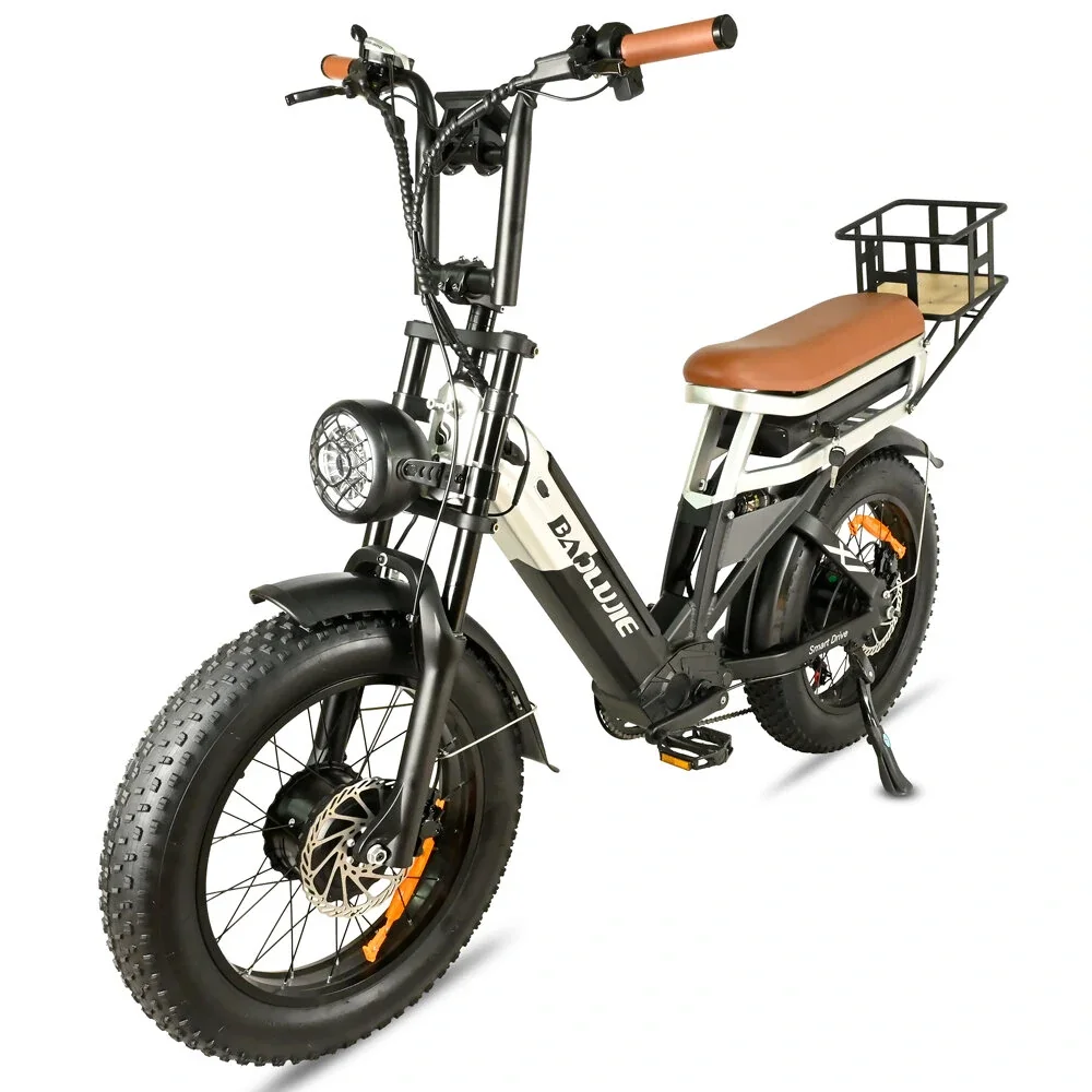 [EU DIRECT] BAOLUJIE DP2033 Electric Bike 48V 30AH Battery 1000W Motor 20inch Tires 90-100KM Max Mileage 120KG Max Load Electric