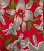 Corail Rouge