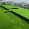 Vert