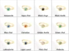 More Color Options