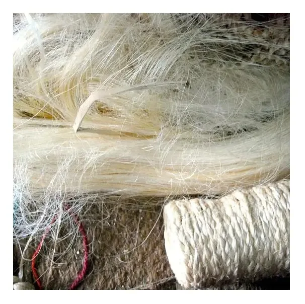 Wholesale Top Quality Sisal Fibre for sale hot discount