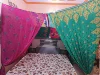 Pink / Green