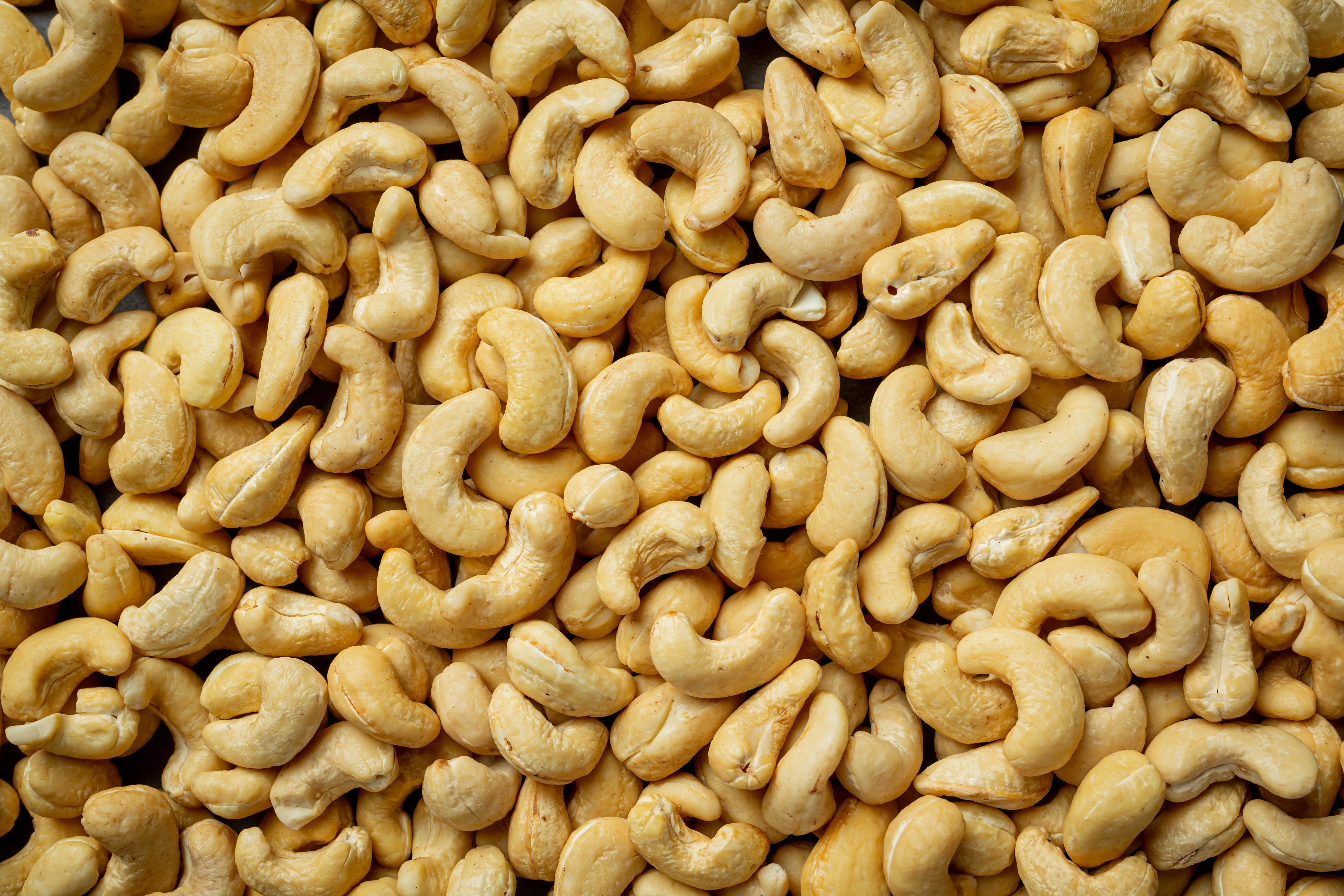 High quality Cashew Nuts Salted Roasted From Vietnam Cayu Cashew Full High quality Cashew Nuts Salted Roasted From Vietnam Cayu Cashew Full