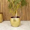 natural brass color