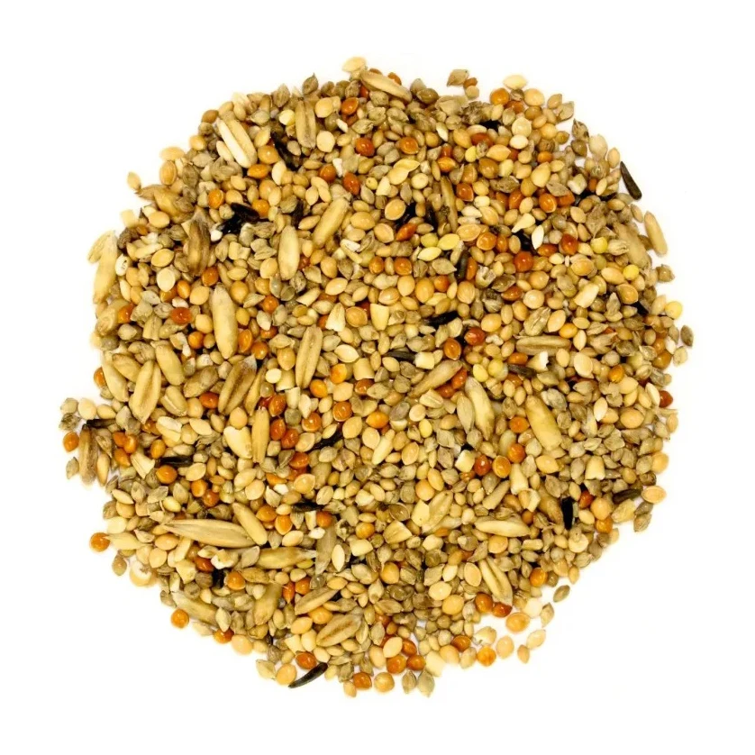 High In Demand Black Sunflower Kernels For Bird Feed And Oil Production