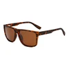 C4: Tortoise/ Brown
