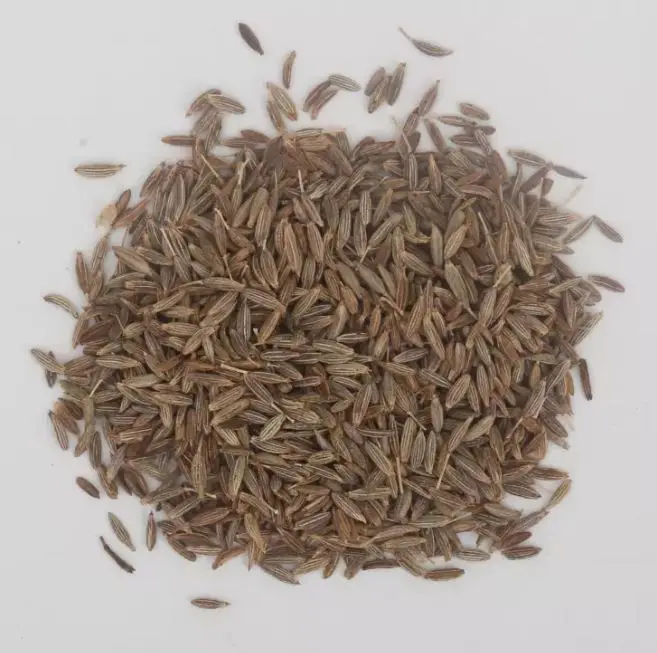 Premium Fennel Cardamom,Cloves,Cinnamon,Seeds,Saffron,Black Pepper