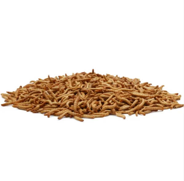 Meal Worms Dried Poultry Feed Dried Mealworms In For Sale - Buy Meal ...