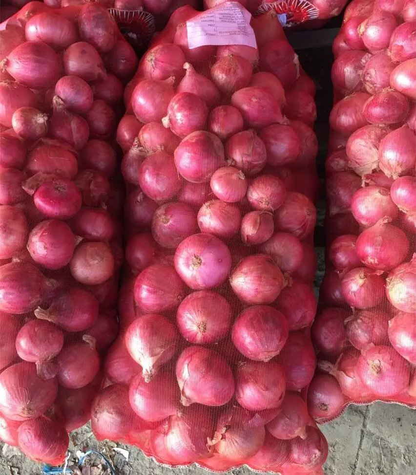 Fresh Onions For Sale Buy Red Onion,Yellow Onions,White Onion Product on