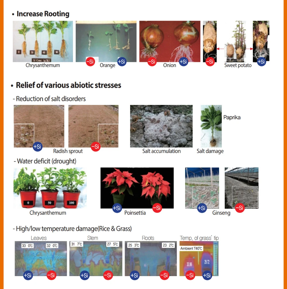 Green Fertilize Capable Of Preventing Soil Acidification Silicate ...