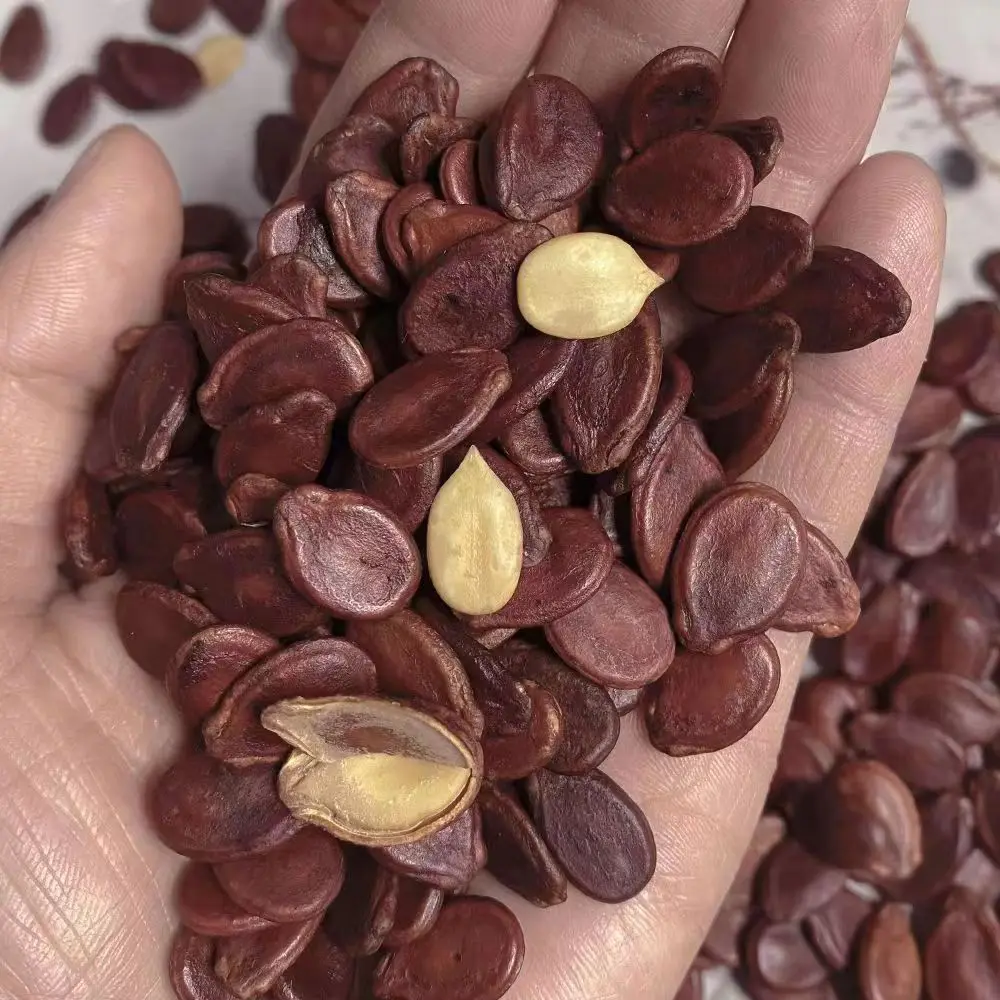 China Origin Good Quality Red Watermelon Seeds