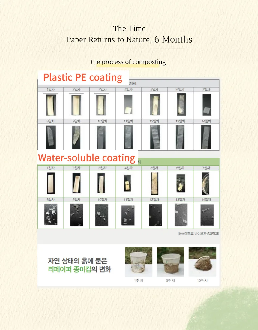 Korea Oem Premium Repulpable Disposable Paper Cups Straws Plates Bowls ...