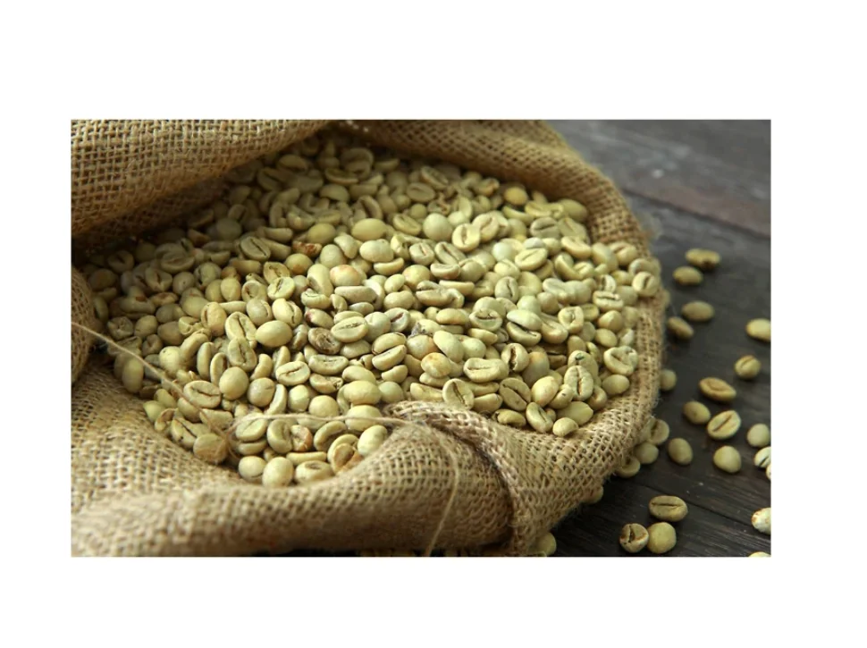 Top Quality USA Bulk Quantity Robusta Coffee and arabica coffee beans roasted In Factory Price