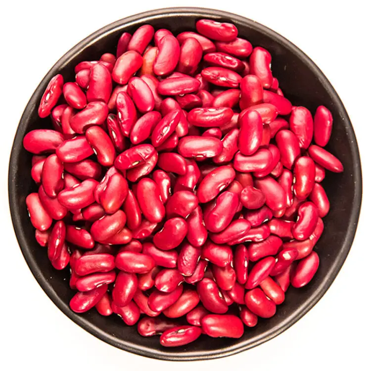 Kidney Beans England Red Kidney Beans / High Quality Dark Red Kidney