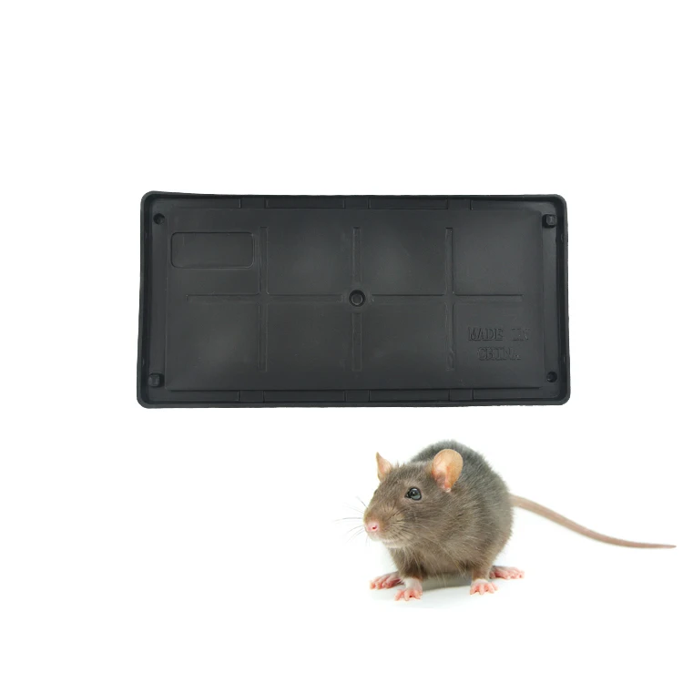 Powerful Waterproof Adhesive Mouse Rat  Rodent Cockroache Glue Trap Pad Board